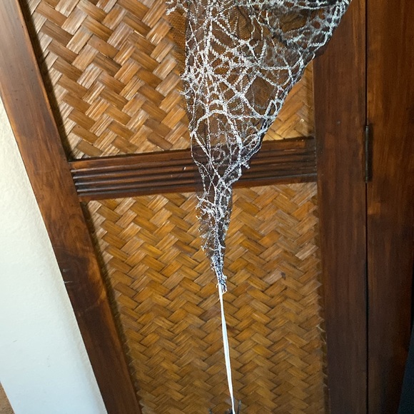 CALIFORNIA COSTUME - Spider Goddess 2X - Picture 5 of 10